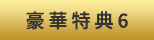 豪華特典6
