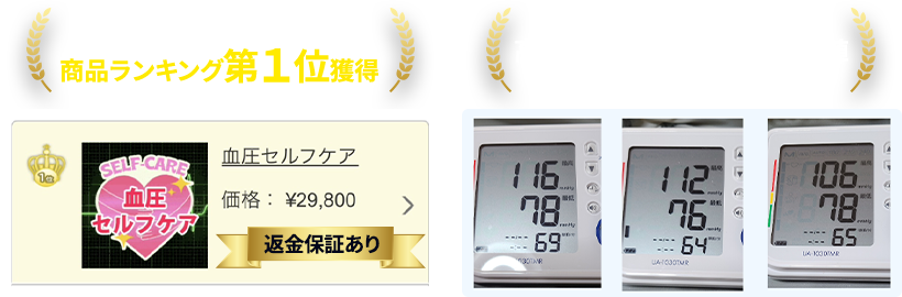 高血圧を改善する5つの秘策5年前から自分の力で血圧コントロールをしてきた禁断の方法毎日のたった10分の行動で高血圧が改善する方法を１つ残らずお教えします！
